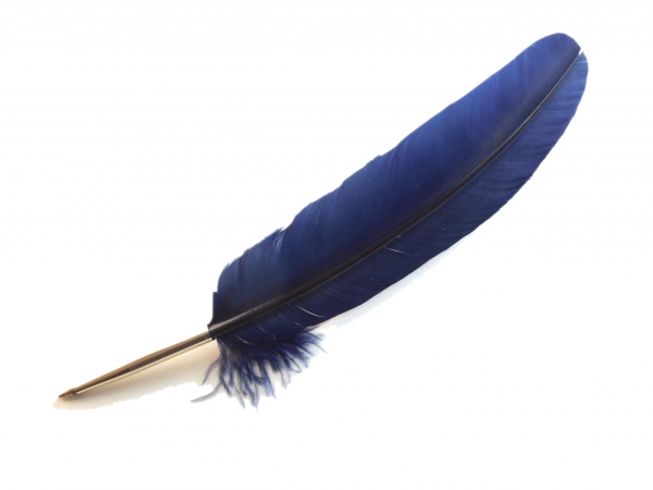 blue feather pen