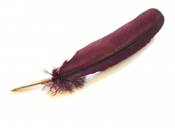 Feather Pen, Eggplant